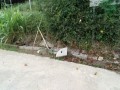 IMG_20250918_081555