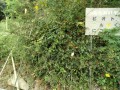 IMG_20250918_081558