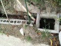 IMG_20250918_081602