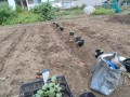 IMG_20250918_100356