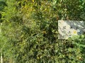 IMG_20250919_091707