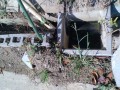 IMG_20250919_091711