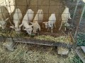 IMG_20250919_092213