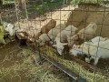 IMG_20250919_092222