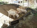 IMG_20250919_092236