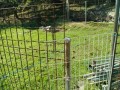 IMG_20250919_092254
