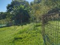 IMG_20250919_092256