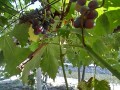 IMG_20250919_110214