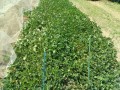 IMG_20250919_114427
