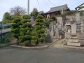 IMG_20250920_081555