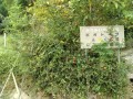 IMG_20250920_091730