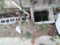 IMG_20250920_091734