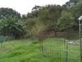 IMG_20250920_092344