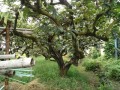 IMG_20250920_114528
