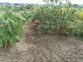 IMG_20250920_114534