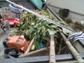 IMG_20250920_122506