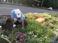 IMG_20250921_082944