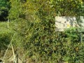 IMG_20250922_082651