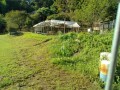 IMG_20250922_082722