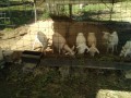 IMG_20250922_084044