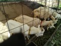 IMG_20250922_084058