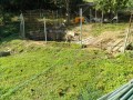 IMG_20250922_084117