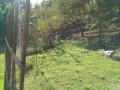 IMG_20250922_084119