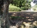 IMG_20250922_092824