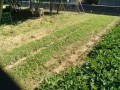 IMG_20250922_100837