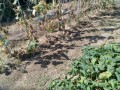 IMG_20250922_100850