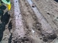IMG_20250922_104441