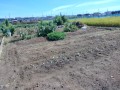 IMG_20250922_104501