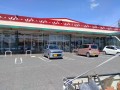 IMG_20250922_110931