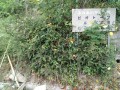 IMG_20250923_080720