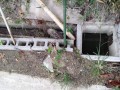IMG_20250923_080725