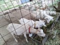 IMG_20250923_081304