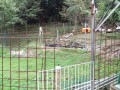 IMG_20250923_081323