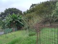 IMG_20250923_081325