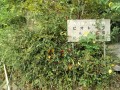 IMG_20250924_090015