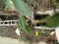 IMG_20250924_090020