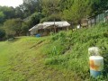 IMG_20250924_090046