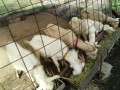 IMG_20250924_091159