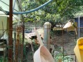 IMG_20250924_091204