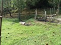 IMG_20250924_091226