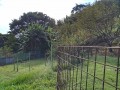 IMG_20250924_091229
