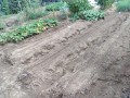 IMG_20250924_104941