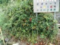 IMG_20250925_080316