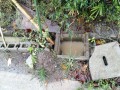 IMG_20250925_080322