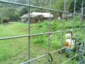 IMG_20250925_080400