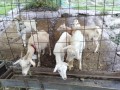IMG_20250925_080554